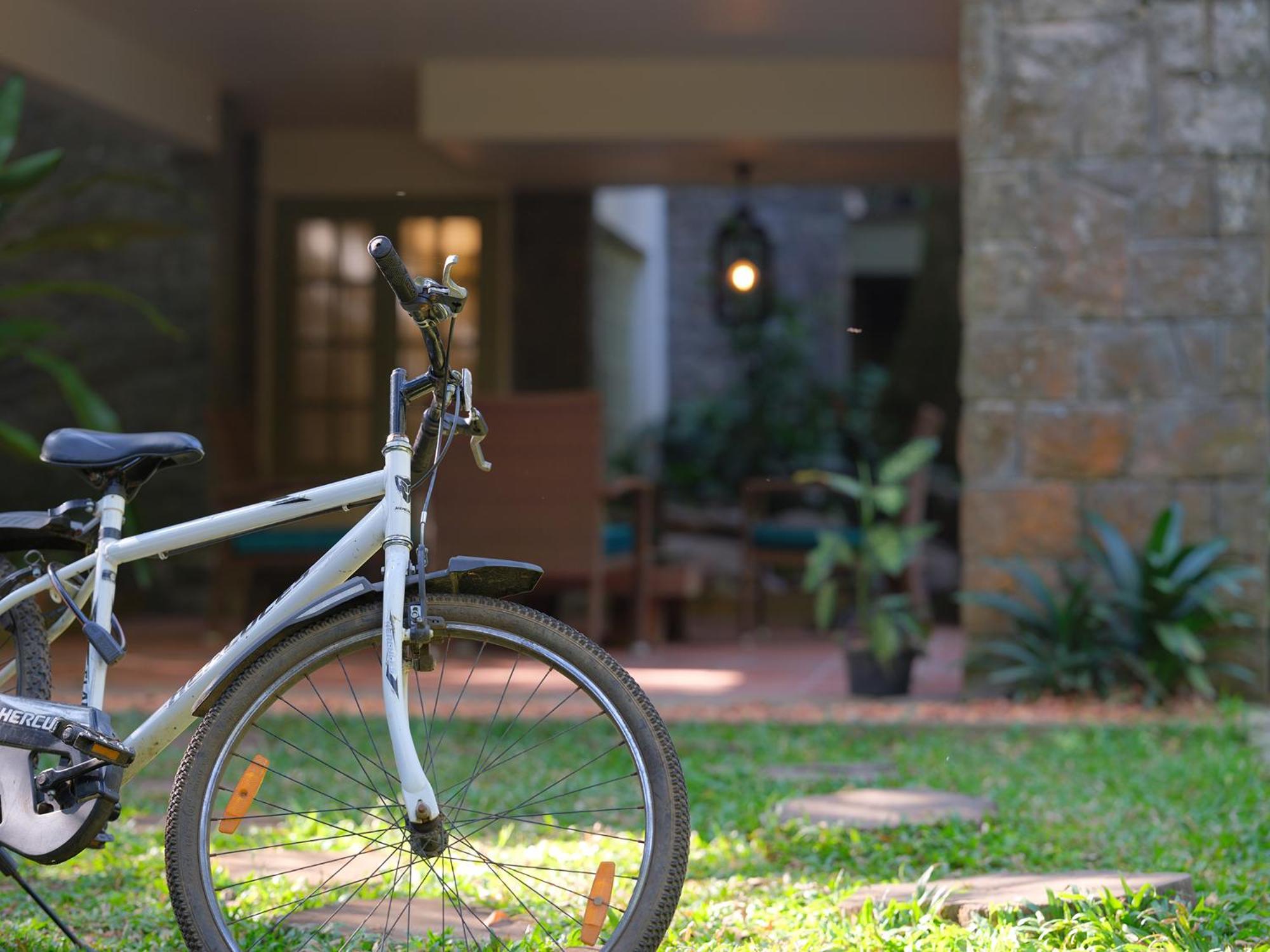 Mystic Mayapott, Thekkady Exterior foto
